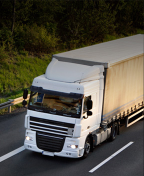 Międzynarodowy transport spożywczy